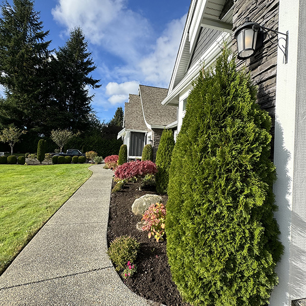 strata garden maintenance